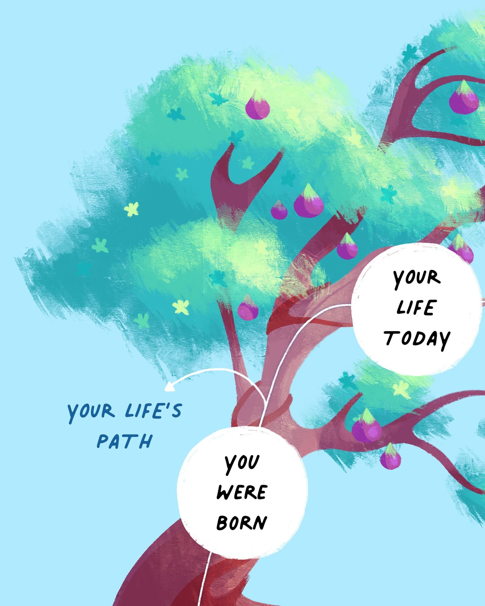 YOUR LIFE'S PATH  YOU WERE BORN  YOUR LIFE TODAY